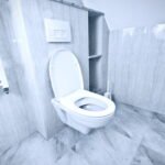 Toilet Won't flush