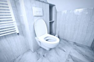 Toilet Won't flush
