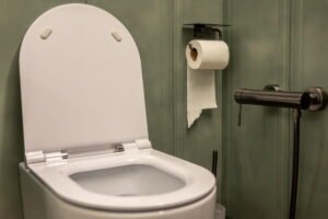 cost to unclog toilet